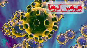 دستورالعمل کشوری کروناویروس