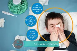 تسهیل امور اجرائی مراقبت بیماری آنفلوانزا