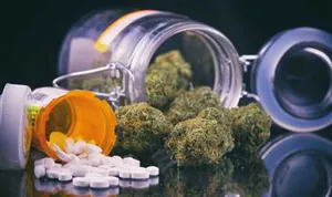 دستورالعملهای بالینی وزارت 1402- پروتکل تشخیص و درمان مسمومیت با مواد توهم زا (Hallucinogens)