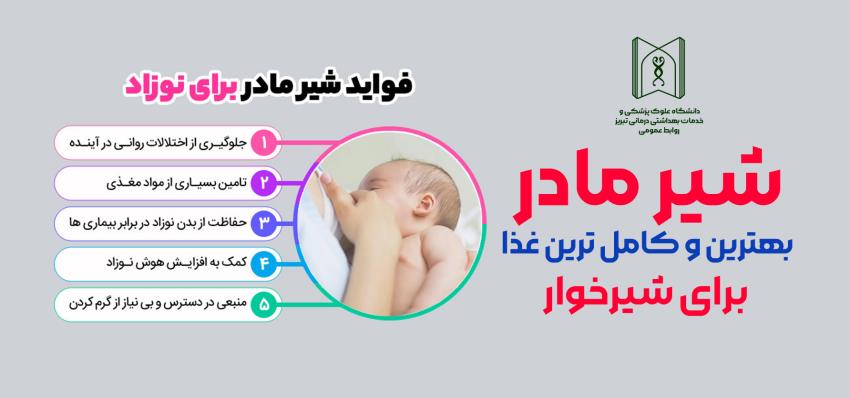 شیرمادر2