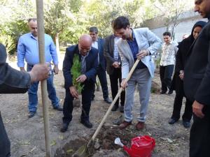 کاشت نهال امید در دانشگاه علوم پزشکی تبریز؛